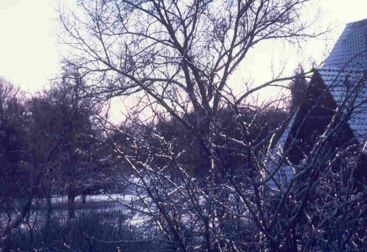 Rozenburgpark in de winter